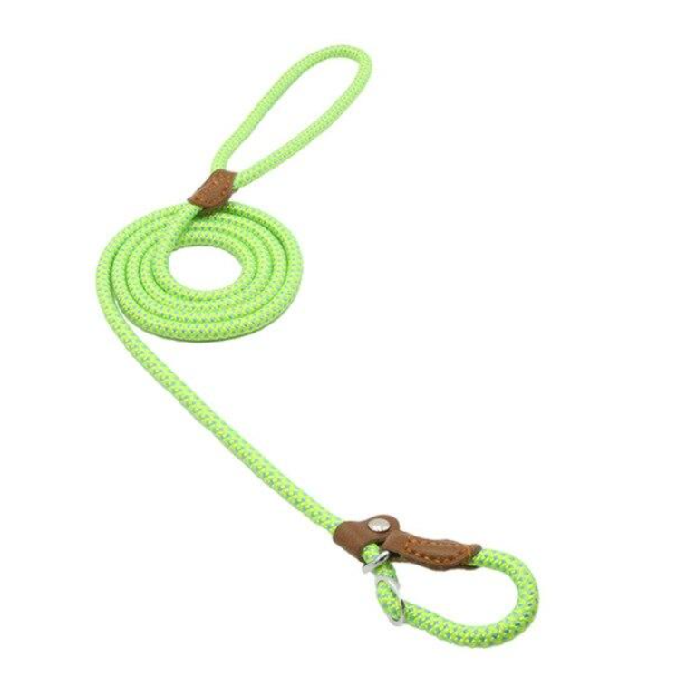 Nylon Pup Collar and Lead Set