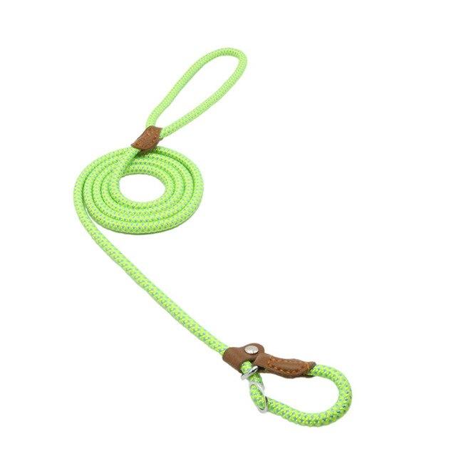 Nylon Pup Collar and Lead Set
