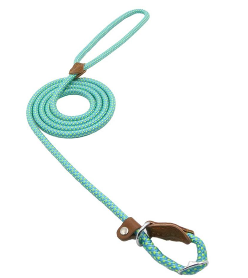 Nylon Pup Collar and Lead Set