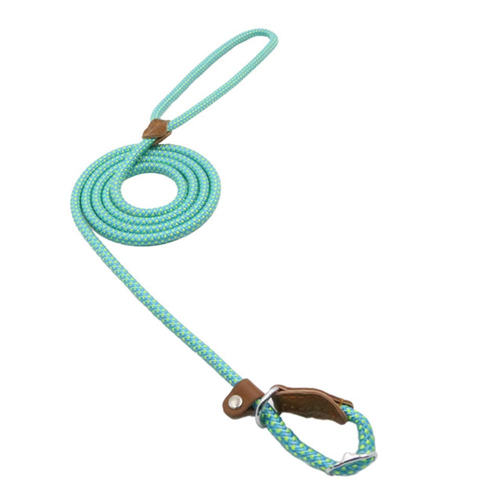 Nylon Pup Collar and Lead Set
