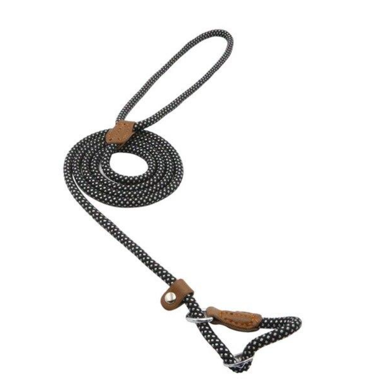 Nylon Pup Collar and Lead Set