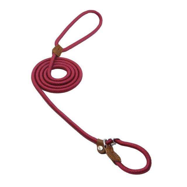 Nylon Pup Collar and Lead Set