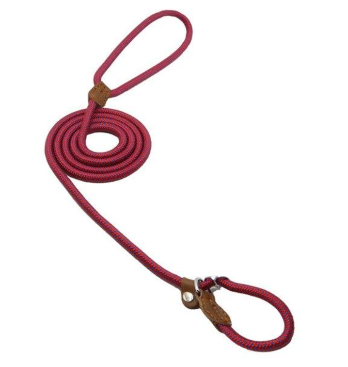 Nylon Pup Collar and Lead Set