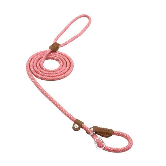 Nylon Pup Collar and Lead Set
