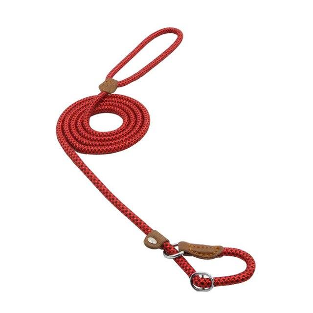 Nylon Pup Collar and Lead Set