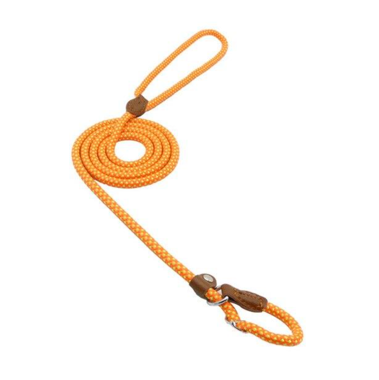 Nylon Pup Collar and Lead Set