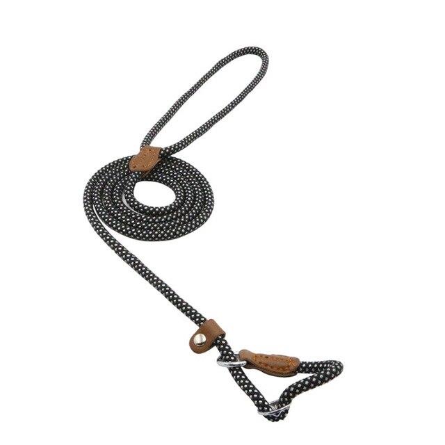 Nylon Pup Collar and Lead Set