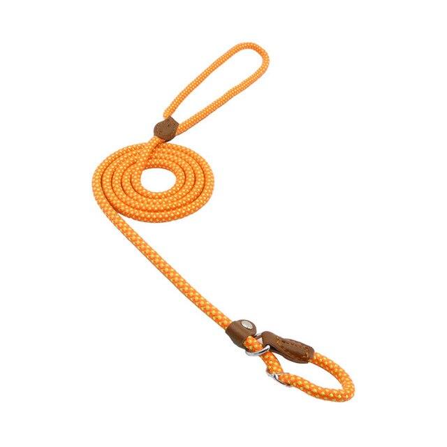 Nylon Pup Collar and Lead Set